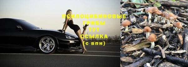 первитин Алексеевка