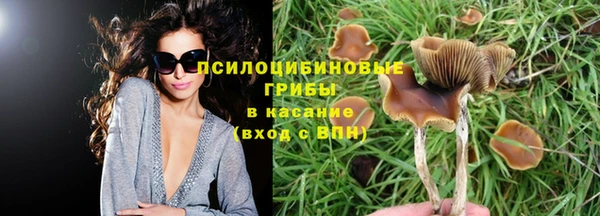 spice Алексин