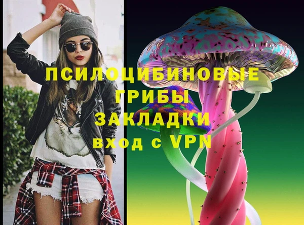 spice Алексин