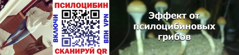 Псилоцибиновые грибы GOLDEN TEACHER  наркотики  Александровское 